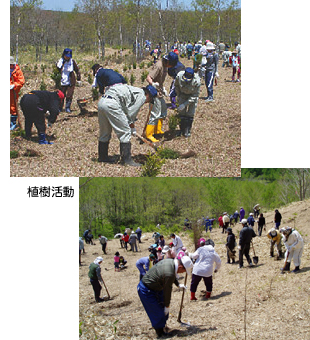 植樹活動