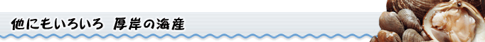 他にもいろいろ厚岸の海産